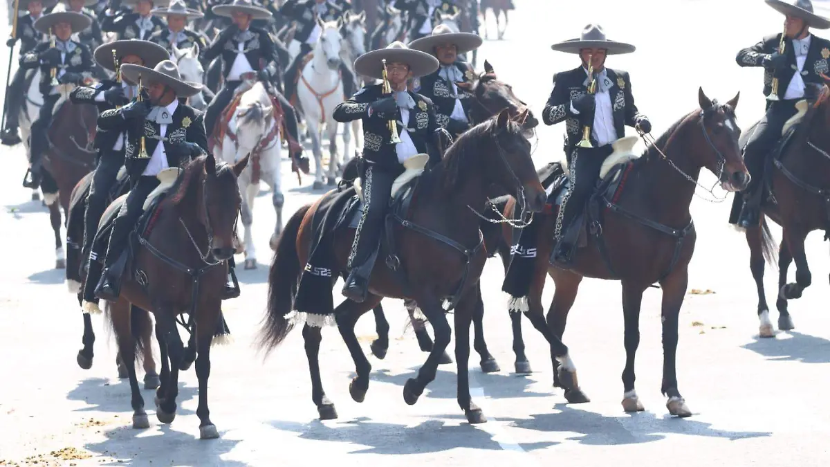 Desfile Revolución Mexicana  (29)